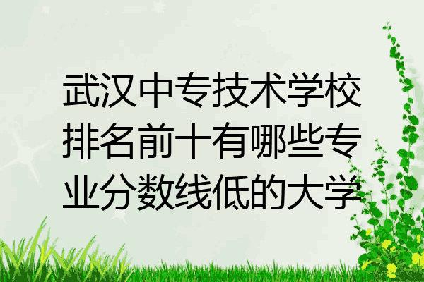 武汉中专技术学校排名前十有哪些专业分数线低的大学