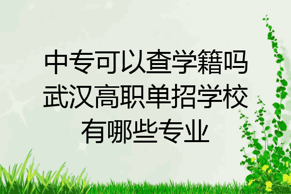 中专可以查学籍吗武汉高职单招学校有哪些专业