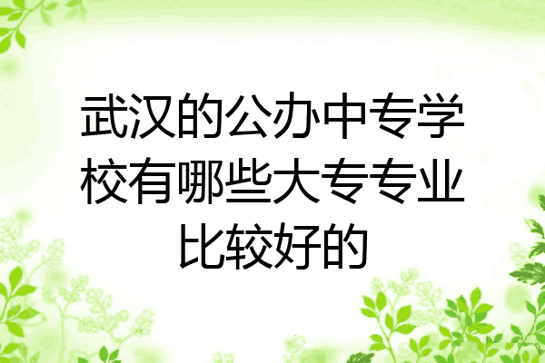 武汉的公办中专学校有哪些大专专业比较好的