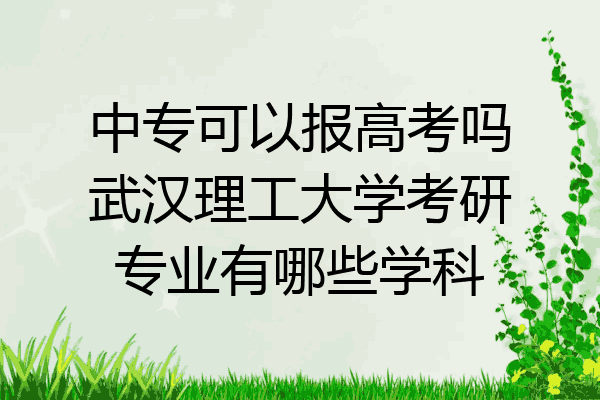 中专可以报高考吗武汉理工大学考研专业有哪些学科