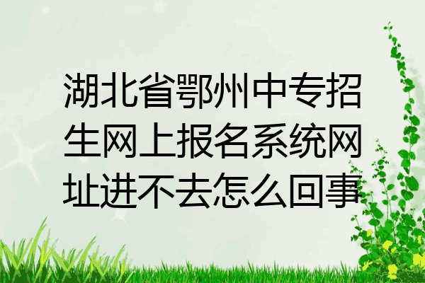 湖北省鄂州中专招生网上报名系统网址进不去怎么回事