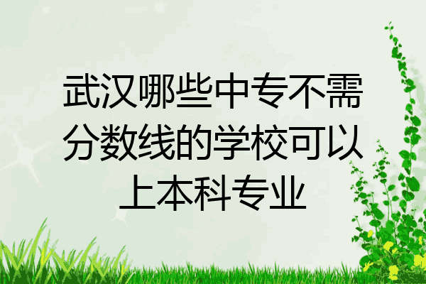 武汉哪些中专不需分数线的学校可以上本科专业