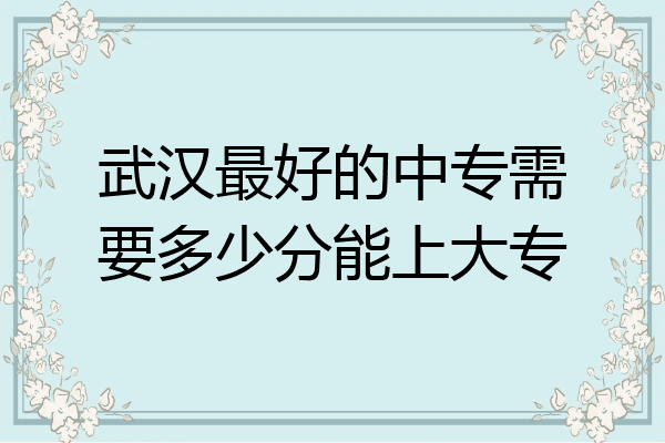 武汉最好的中专需要多少分能上大专