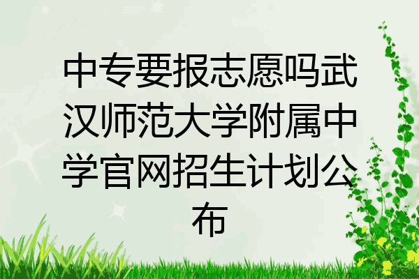 中专要报志愿吗武汉师范大学附属中学官网招生计划公布