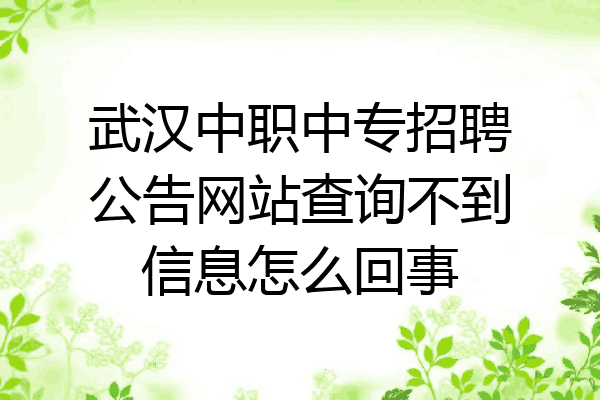 武汉中职中专招聘公告网站查询不到信息怎么回事