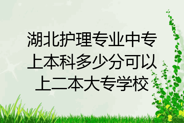 湖北护理专业中专上本科多少分可以上二本大专学校