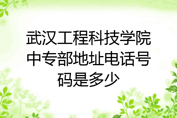 武汉工程科技学院中专部地址电话号码是多少