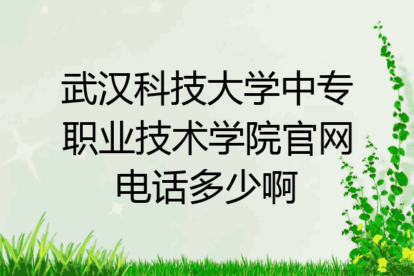 武汉科技大学中专职业技术学院官网电话多少啊