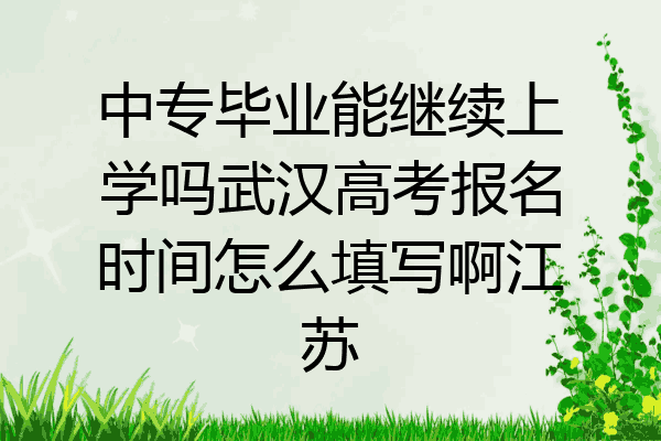 中专毕业能继续上学吗武汉高考报名时间怎么填写啊江苏