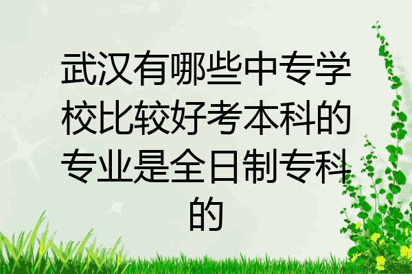武汉有哪些中专学校比较好考本科的专业是全日制专科的