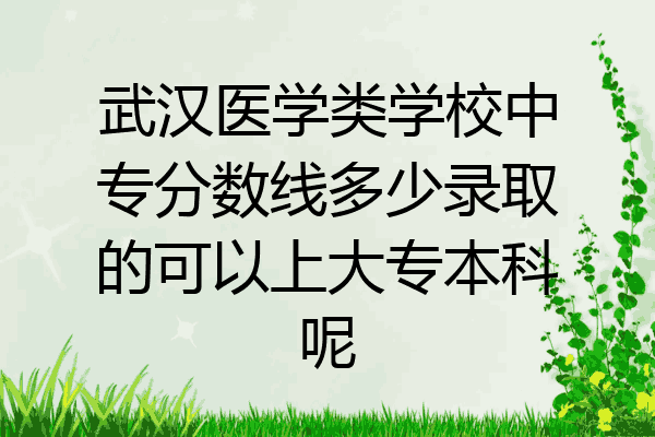 武汉医学类学校中专分数线多少录取的可以上大专本科呢