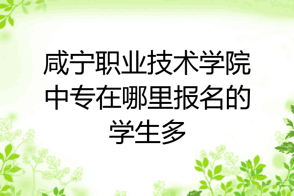 咸宁职业技术学院中专在哪里报名的学生多
