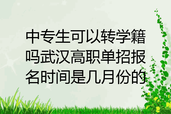 中专生可以转学籍吗武汉高职单招报名时间是几月份的