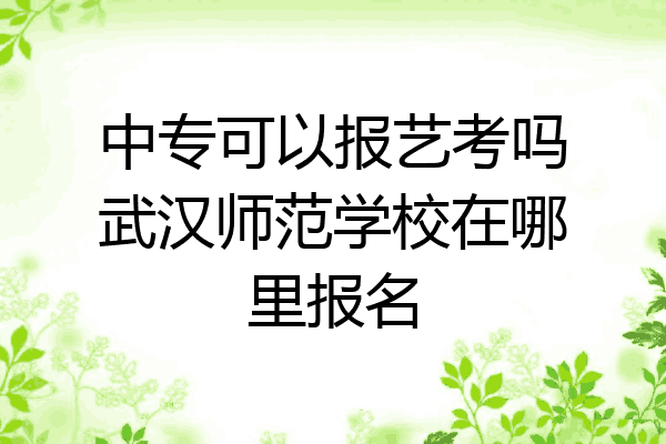 中专可以报艺考吗武汉师范学校在哪里报名