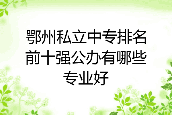 鄂州私立中专排名前十强公办有哪些专业好