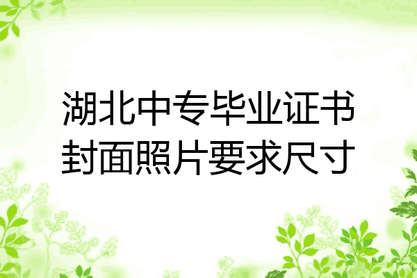 湖北中专毕业证书封面照片要求尺寸