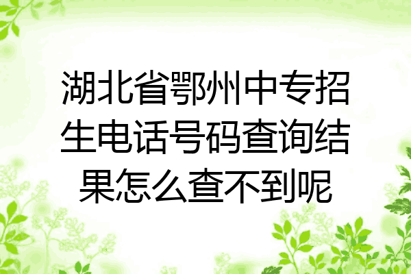 湖北省鄂州中专招生电话号码查询结果怎么查不到呢