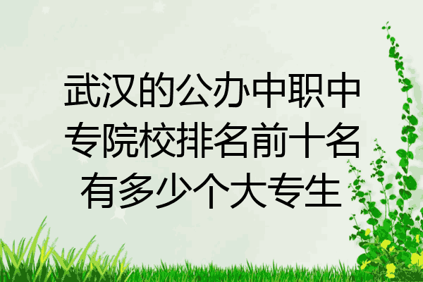 武汉的公办中职中专院校排名前十名有多少个大专生