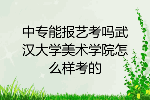 中专能报艺考吗武汉大学美术学院怎么样考的