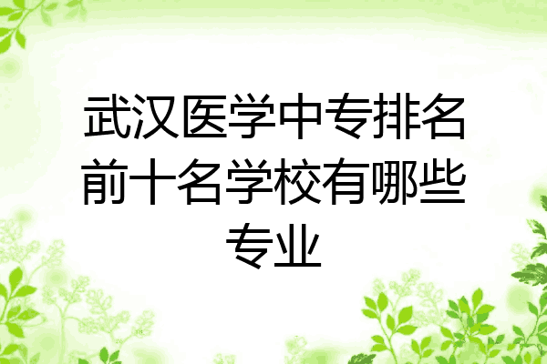 武汉医学中专排名前十名学校有哪些专业