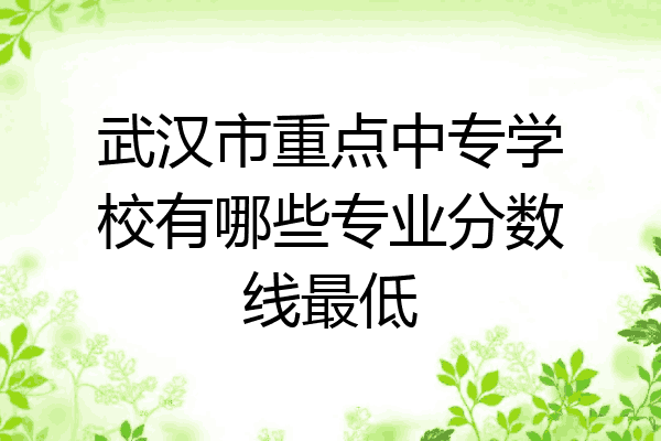 武汉市重点中专学校有哪些专业分数线最低