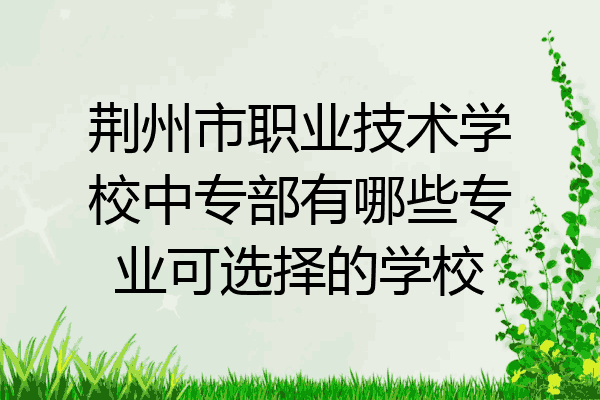 荆州市职业技术学校中专部有哪些专业可选择的学校