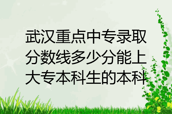 武汉重点中专录取分数线多少分能上大专本科生的本科