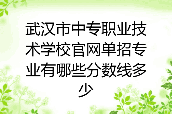 武汉市中专职业技术学校官网单招专业有哪些分数线多少