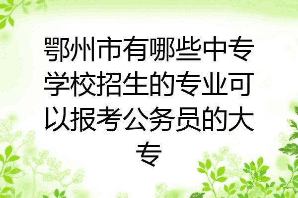鄂州市有哪些中专学校招生的专业可以报考公务员的大专