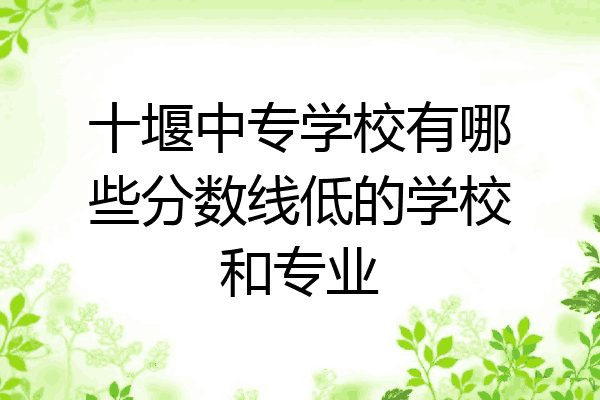 十堰中专学校有哪些分数线低的学校和专业