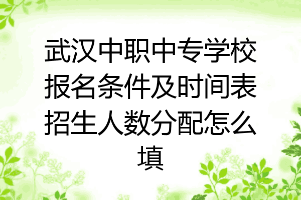 武汉中职中专学校报名条件及时间表招生人数分配怎么填