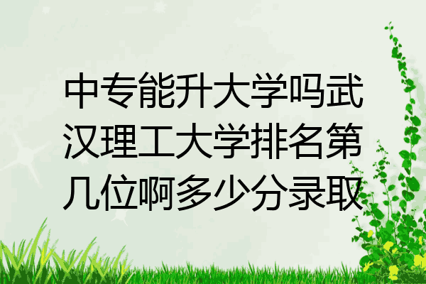 中专能升大学吗武汉理工大学排名第几位啊多少分录取