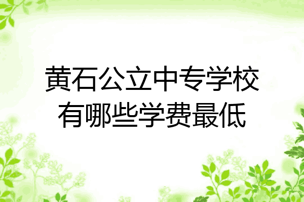 黄石公立中专学校有哪些学费最低