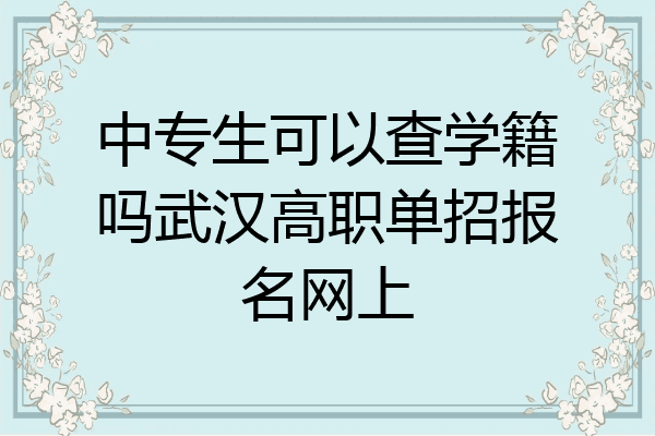 中专生可以查学籍吗武汉高职单招报名网上