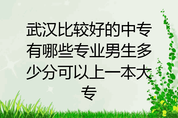 武汉比较好的中专有哪些专业男生多少分可以上一本大专