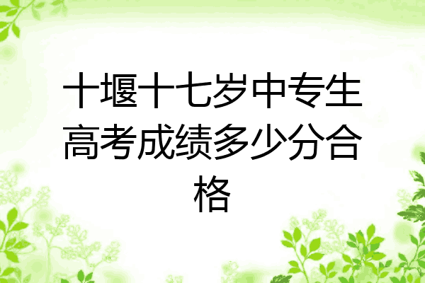 十堰十七岁中专生高考成绩多少分合格