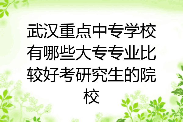 武汉重点中专学校有哪些大专专业比较好考研究生的院校
