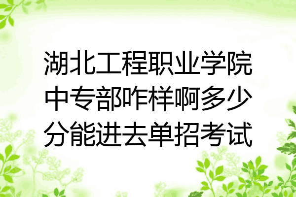 湖北工程职业学院中专部咋样啊多少分能进去单招考试
