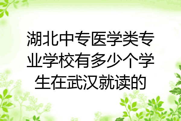 湖北中专医学类专业学校有多少个学生在武汉就读的
