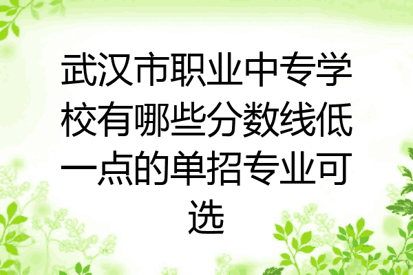 武汉市职业中专学校有哪些分数线低一点的单招专业可选