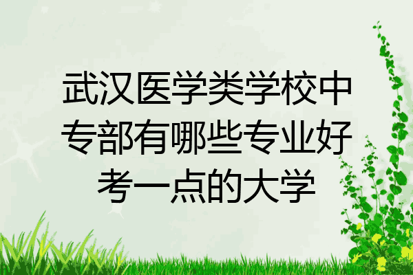 武汉医学类学校中专部有哪些专业好考一点的大学