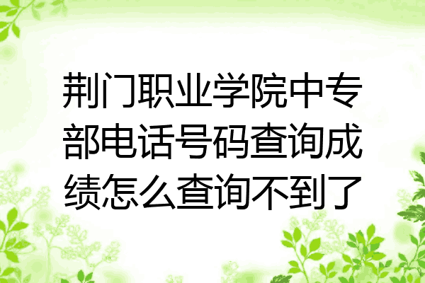 荆门职业学院中专部电话号码查询成绩怎么查询不到了