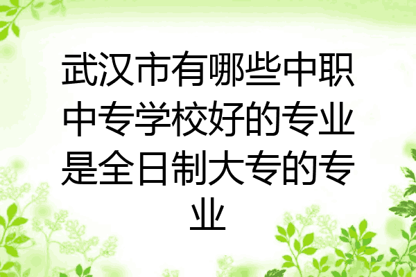 武汉市有哪些中职中专学校好的专业是全日制大专的专业