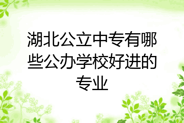 湖北公立中专有哪些公办学校好进的专业