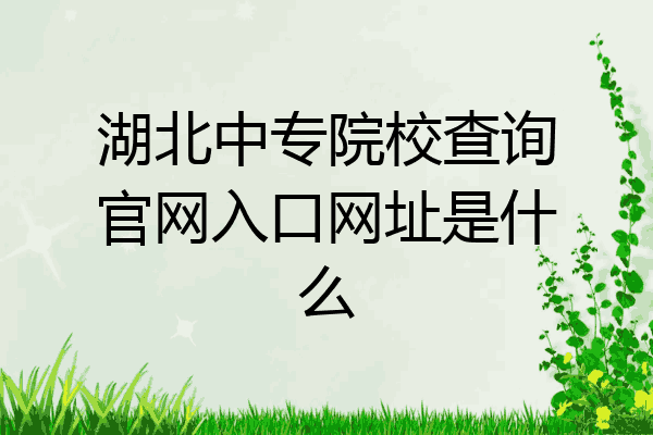 湖北中专院校查询官网入口网址是什么