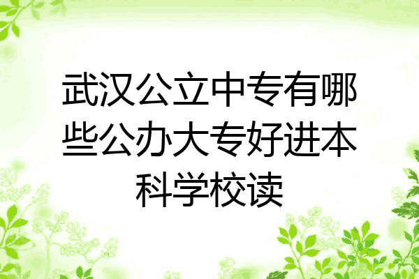 武汉公立中专有哪些公办大专好进本科学校读
