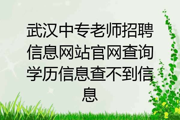 武汉中专老师招聘信息网站官网查询学历信息查不到信息