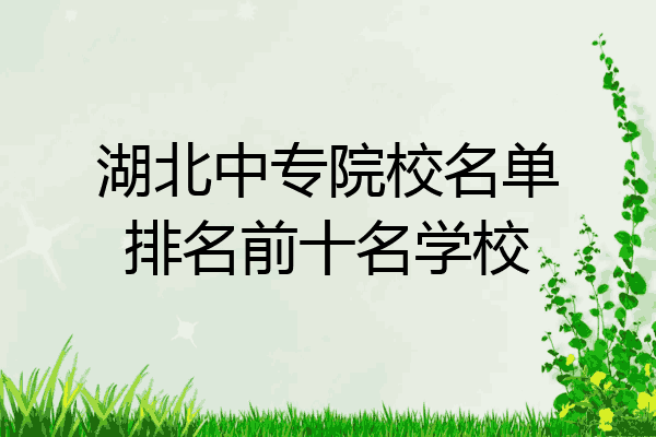 湖北中专院校名单排名前十名学校