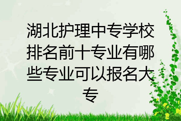 湖北护理中专学校排名前十专业有哪些专业可以报名大专