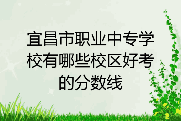宜昌市职业中专学校有哪些校区好考的分数线